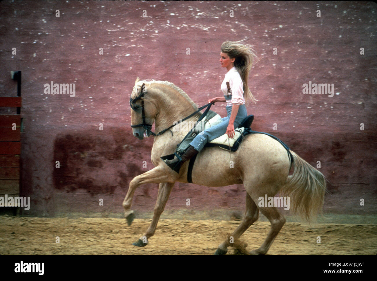 Bo derek horse hi-res stock photography and images - Alamy