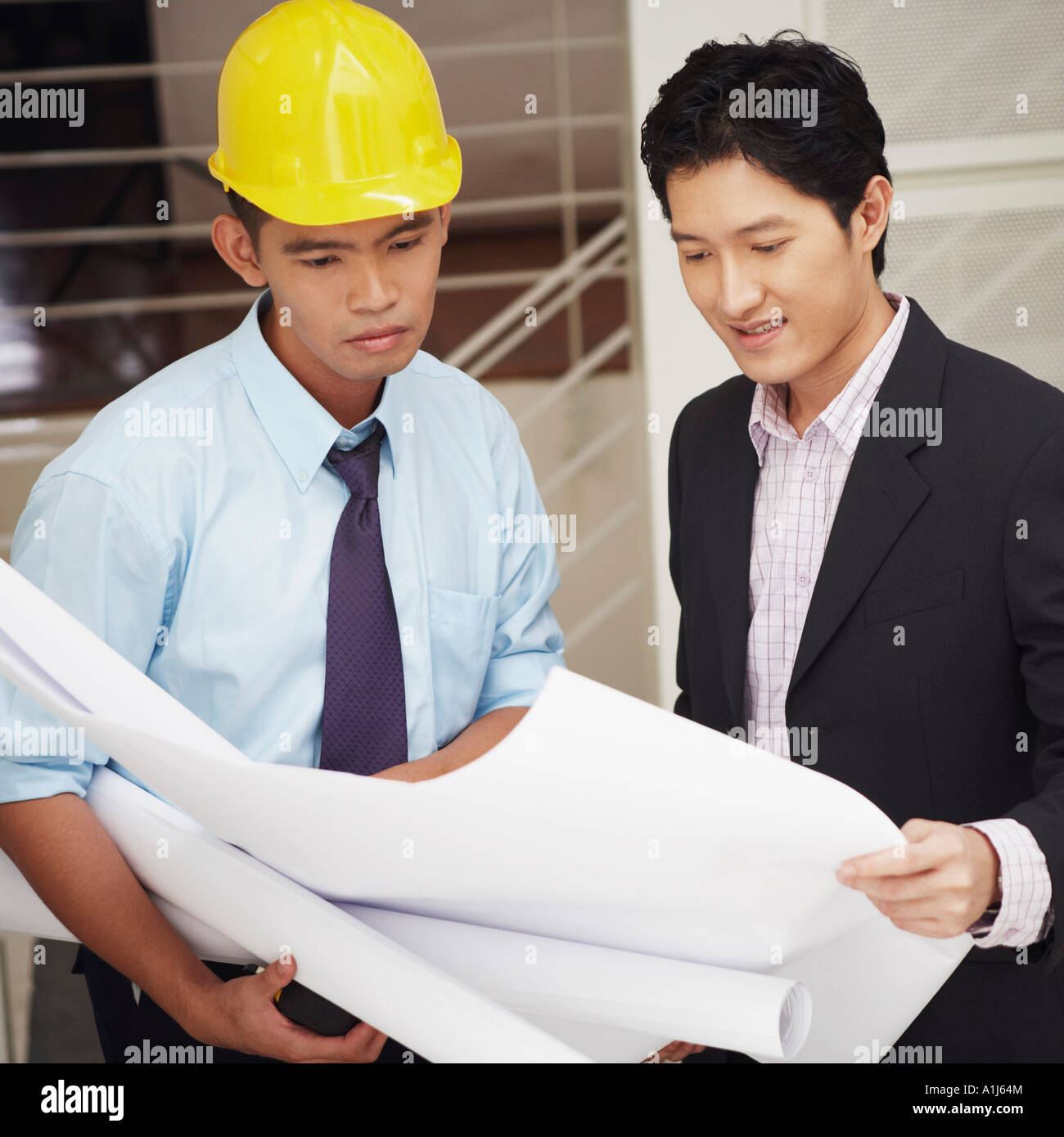 Side profile of a businessman and an architect looking at blueprints ...