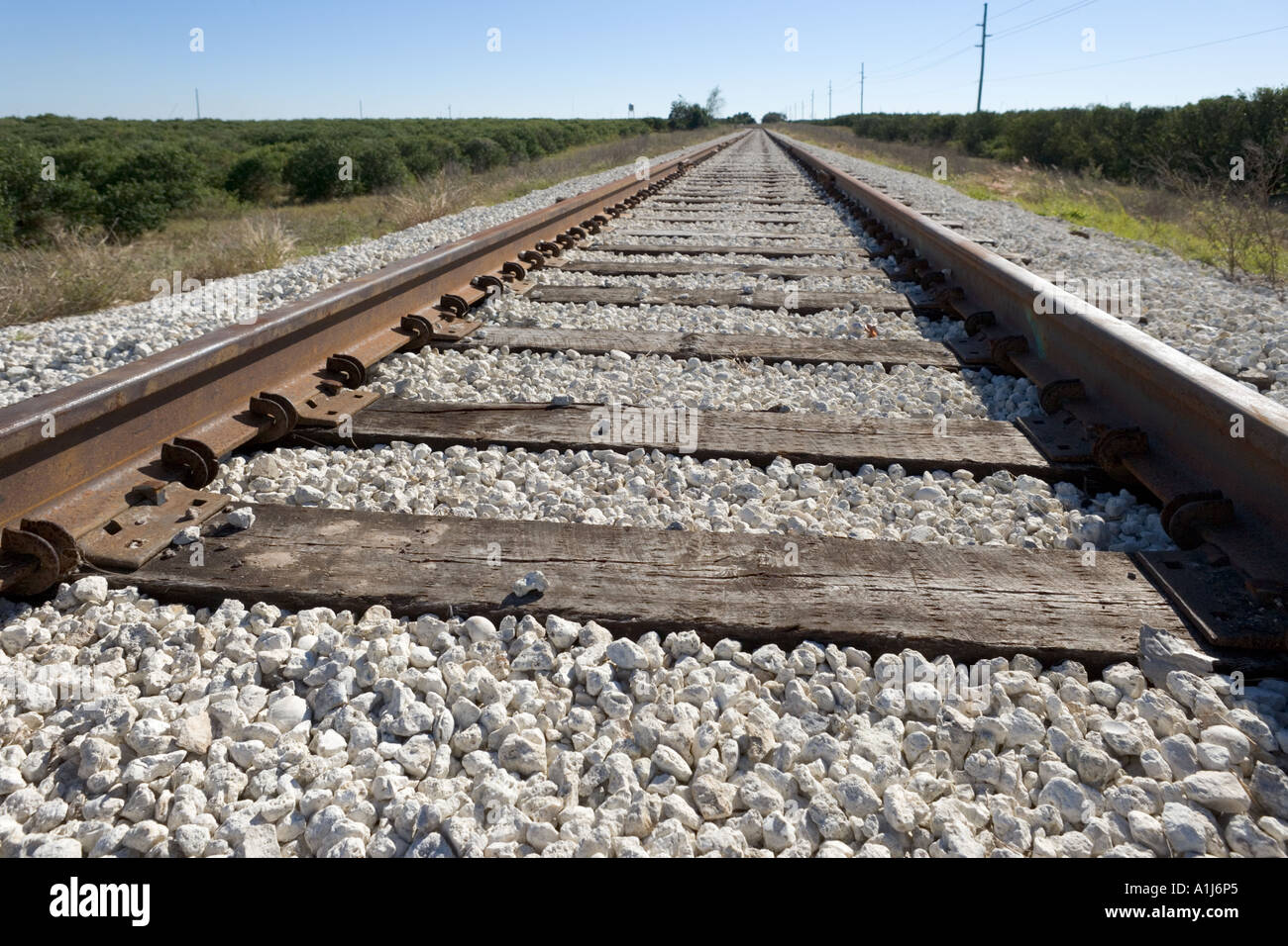 Railroad Tracks, Florida, USA Stock Photo