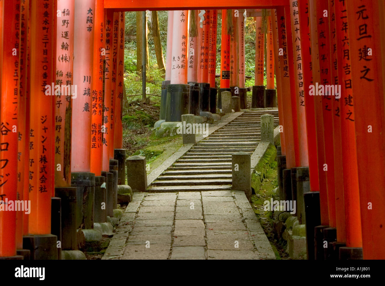 Tunnel of Orange Torii in Fushimi Inari Taisha Kyoto Japan Stock Photo ...