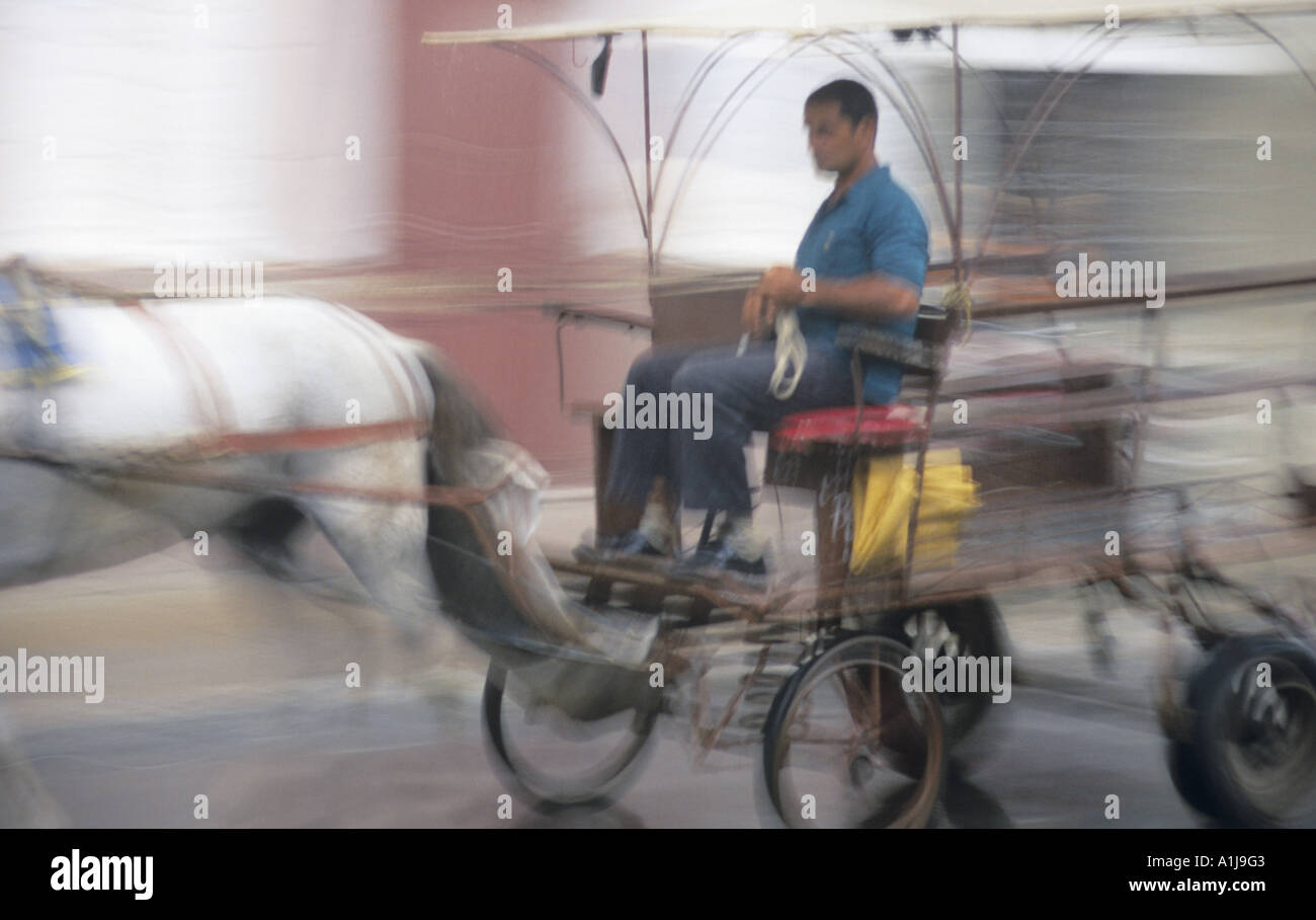 Empty horse drawn carriage hi-res stock photography and images - Alamy