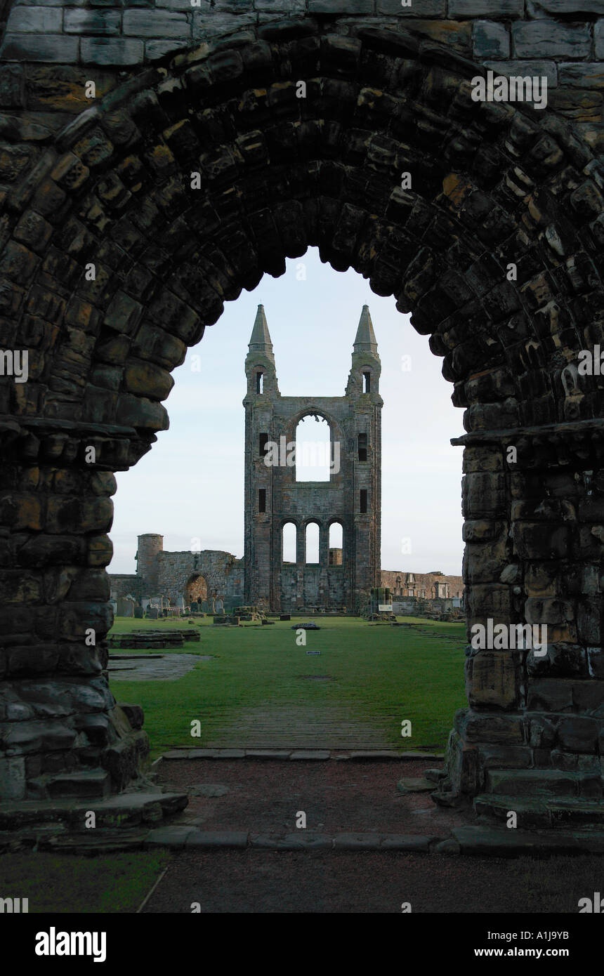 St Andrews Cathedral, Fife, Scotland Stock Photo Alamy
