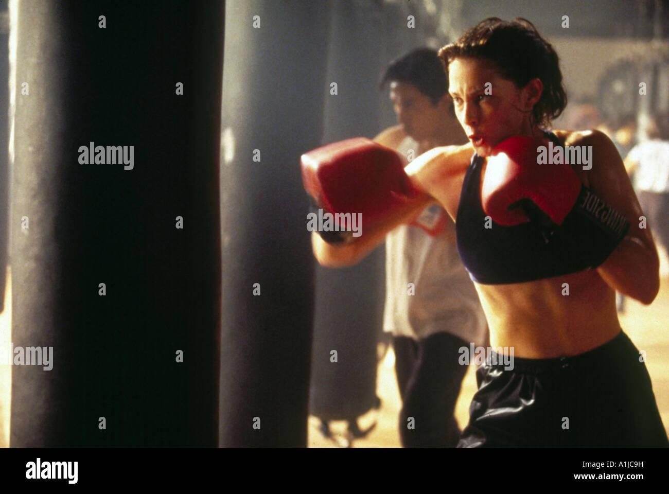 Boxer kiss hires stock photography and images Alamy