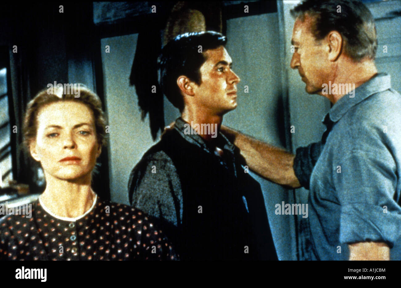 The Hanging Tree Year 1959 Director Delmer Daves Gary Cooper Maria Schell Anthony Perkins Based upon Dorothy M Johnson s book Stock Photo