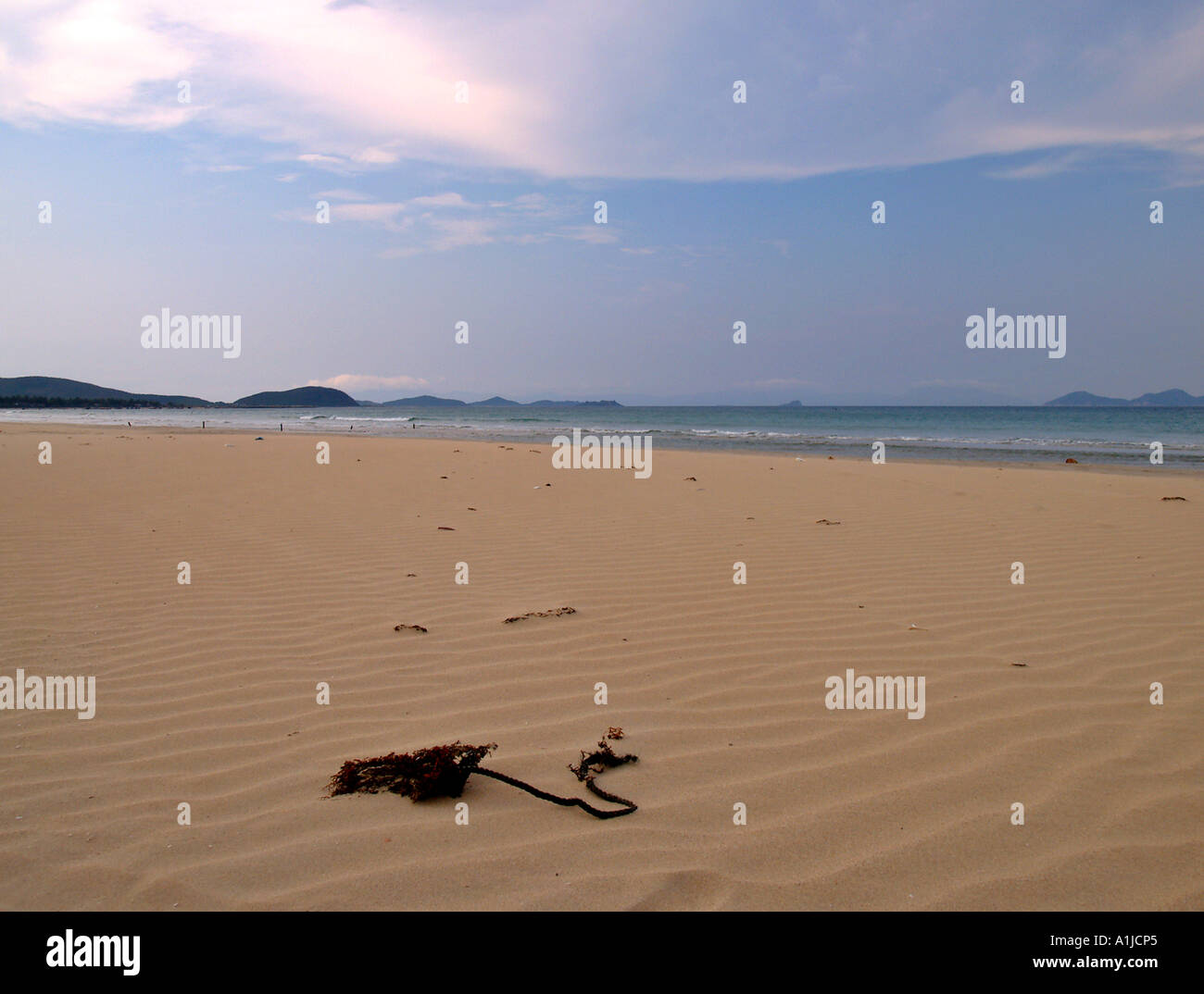 Jungle beach hi-res stock photography and images - Alamy