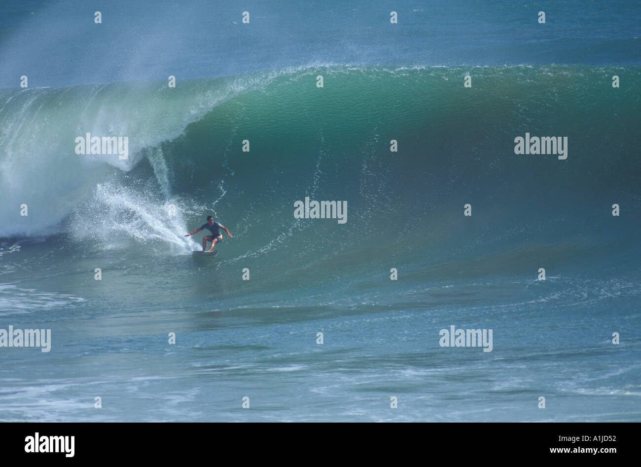 Hawaiian surfer on big wave Hawaii MR available Stock Photo - Alamy