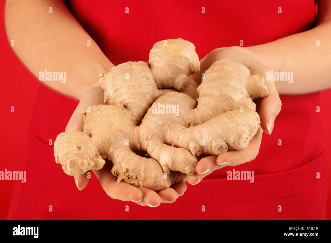 WOMAN HOLDING FRESH GINGER ROOT Stock Photo