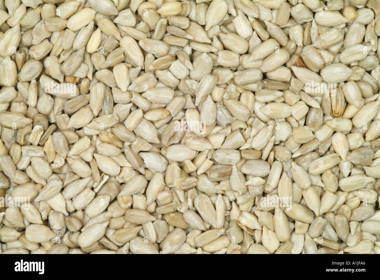 Sunflower seeds in sunflower hi-res stock photography and images - Alamy