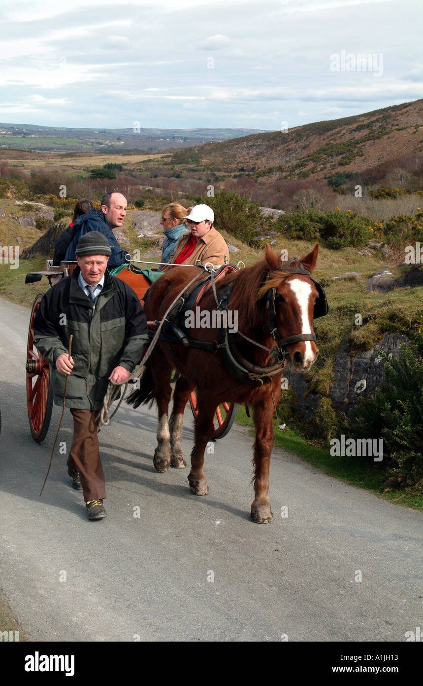 Jaunting car Killarney County Kerry Ireland Eire EU Stock Photo Alamy