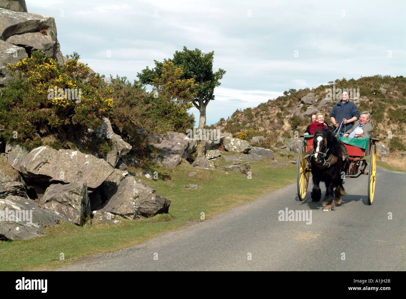 Jaunting car Killarney County Kerry Ireland Eire EU Stock Photo Alamy