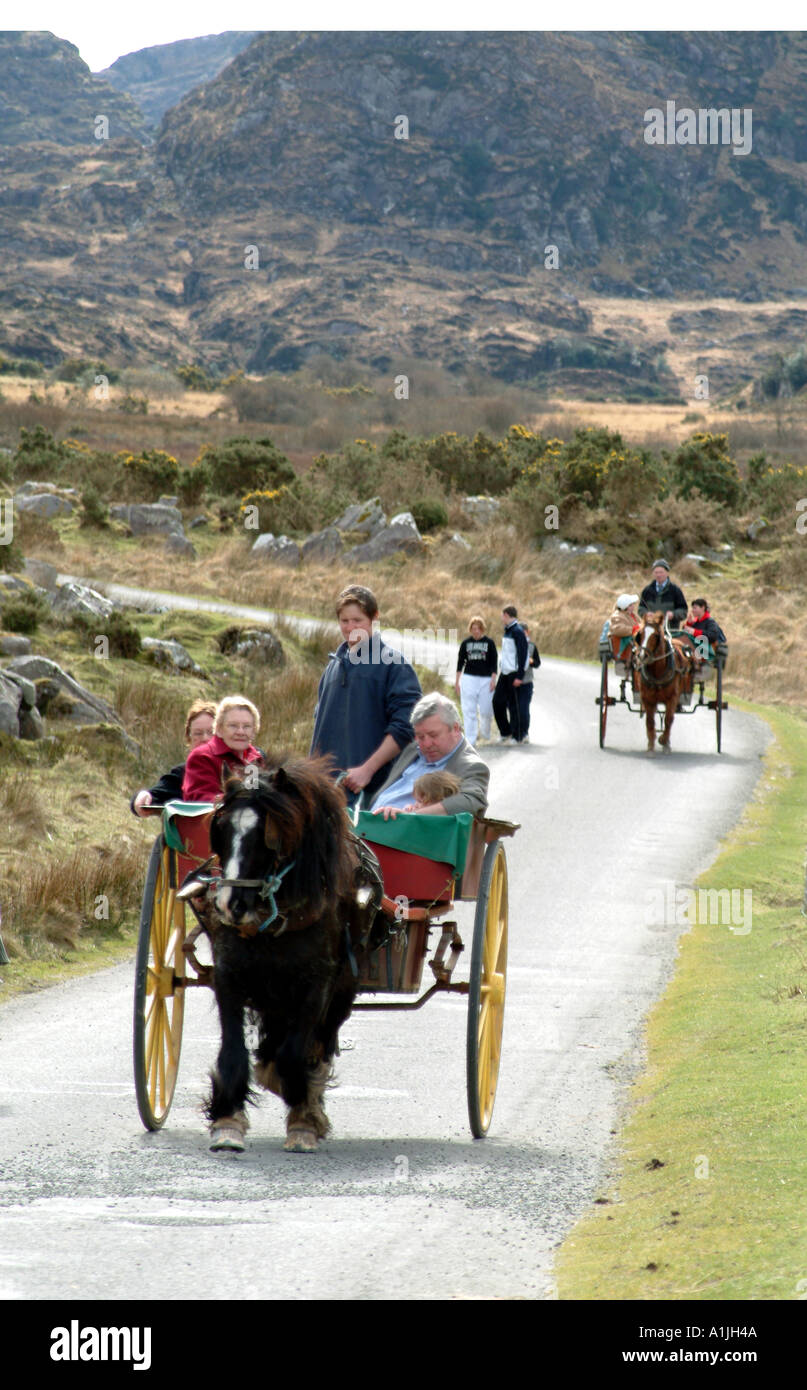Jaunting car Killarney County Kerry Ireland Eire EU Stock Photo Alamy