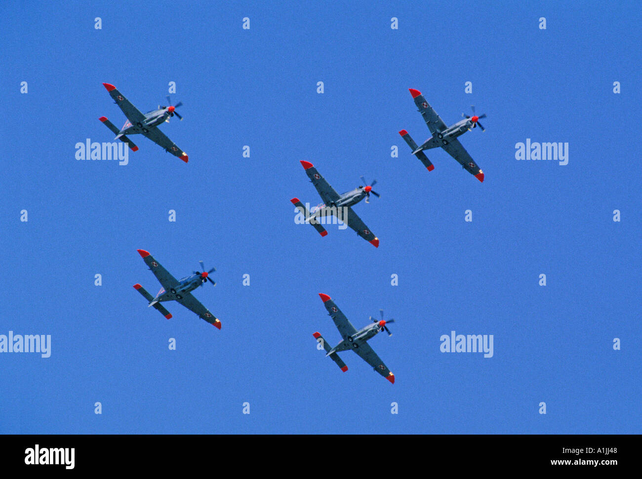 Polish Air Force Orlik aerobatic team PZL-130 formation Stock Photo