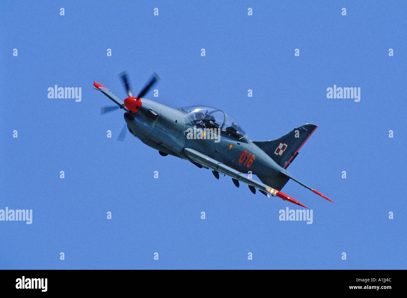 Polish Air Force Orlik aerobatic team PZL-130 Stock Photo