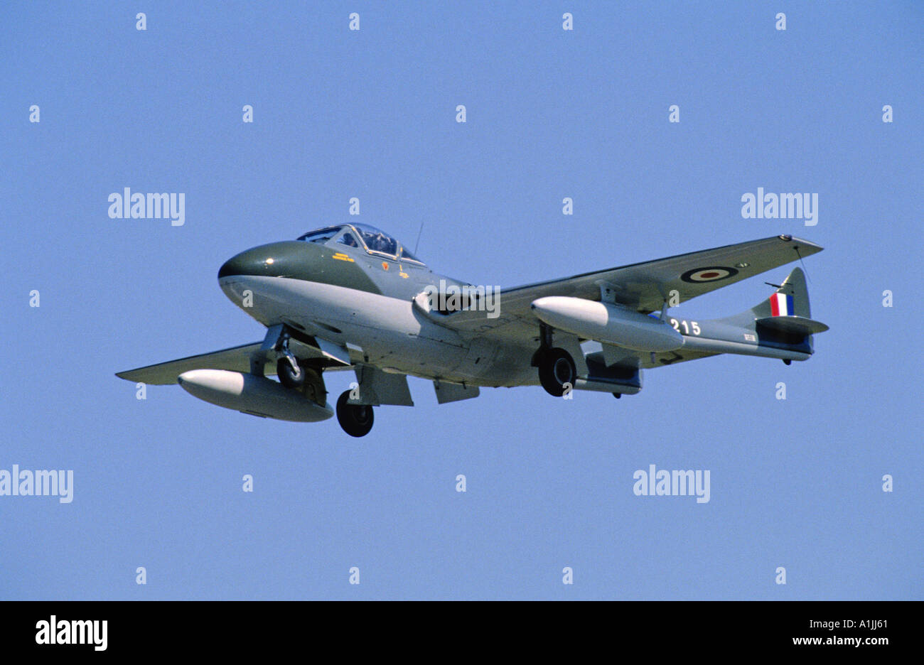 de Havilland DH115 Vampire T55 trainer Stock Photo - Alamy