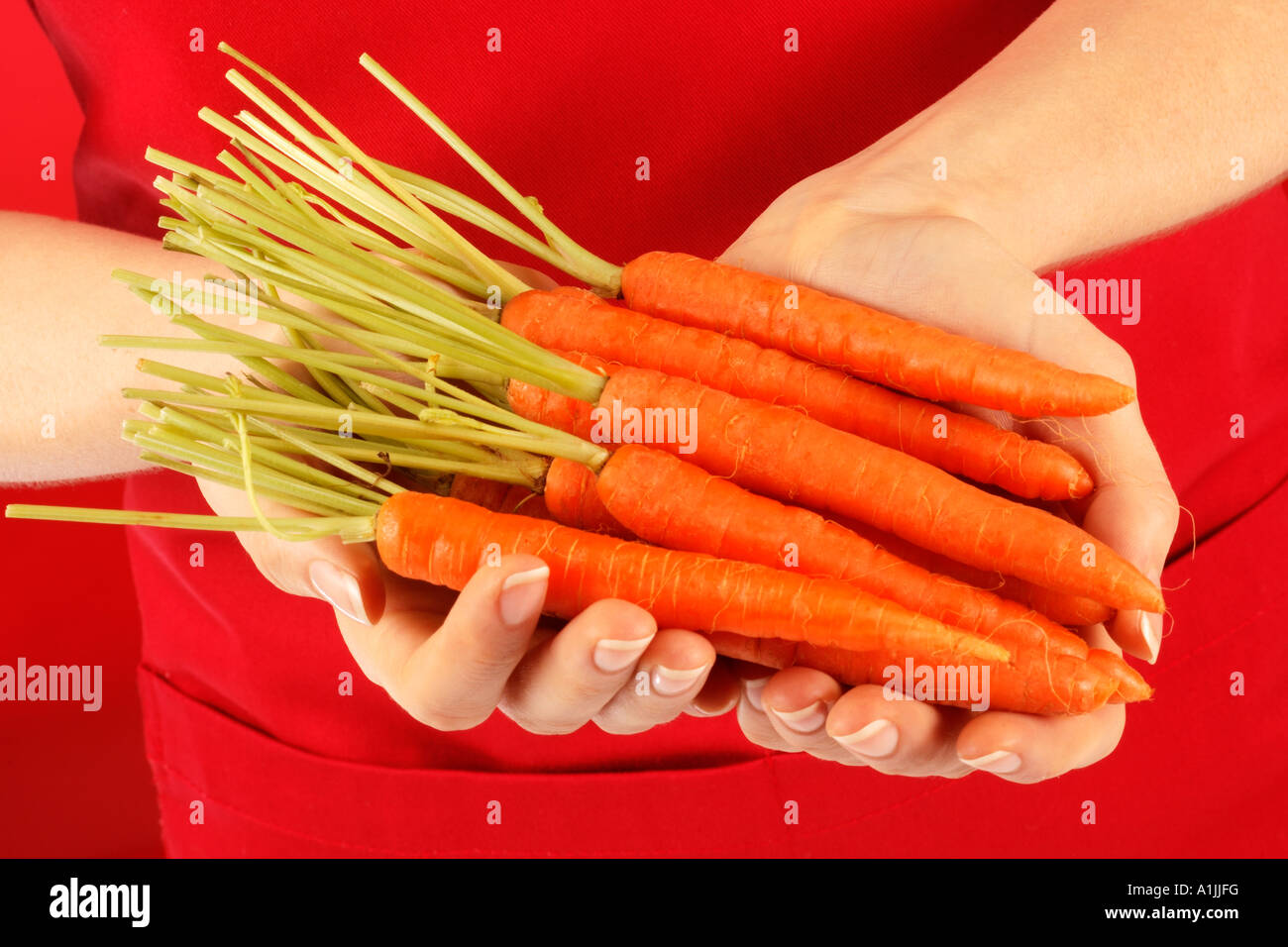 WOMAN HOLDING BABY CARROTS Stock Photo Alamy