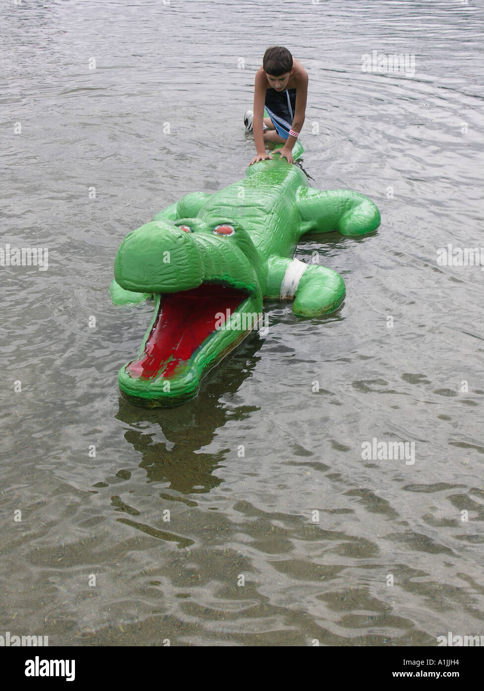 Fake Gator Id
