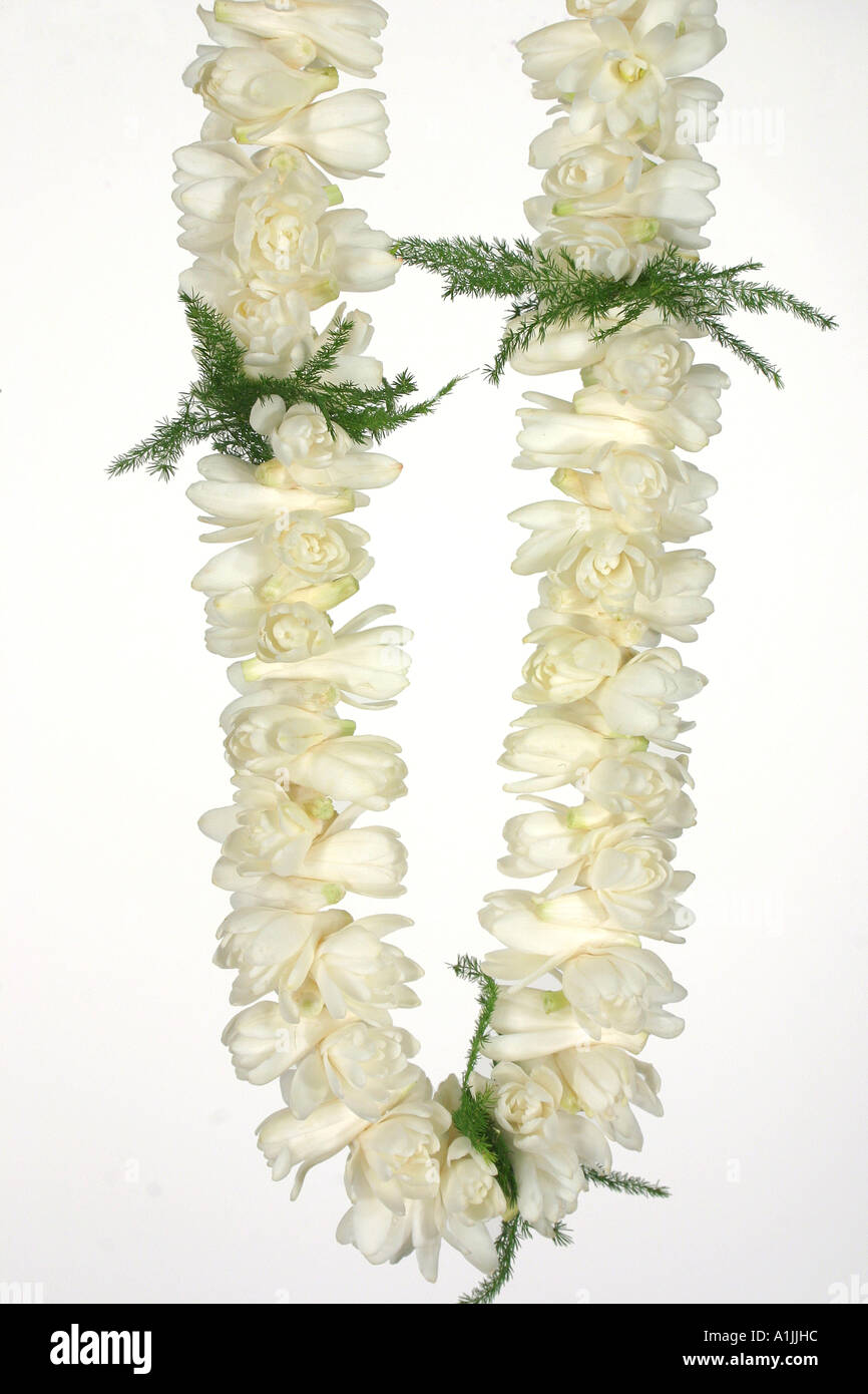 Flower lei against white studio background Stock Photo