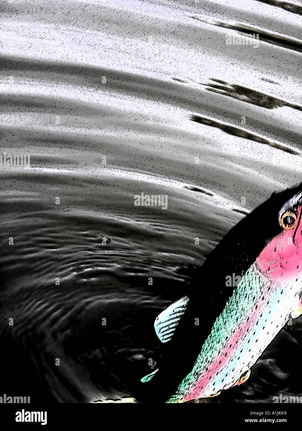 Rubber Fish Stock Photo