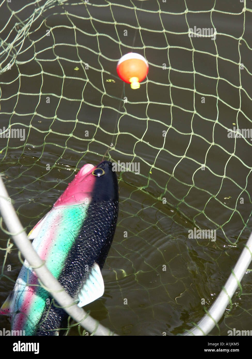 Fake Rubber Fish Stock Photo Alamy