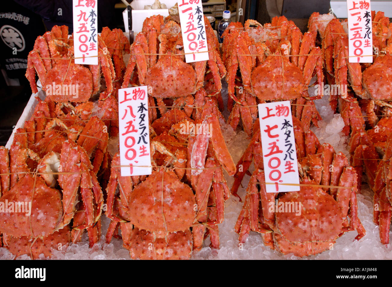 Fresh crabs for sale at the Sapporo Nijo morning fish market in