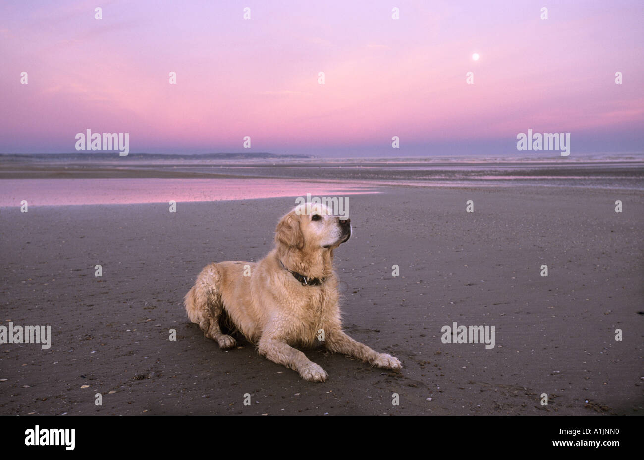 Dymchurch and beach hires stock photography and images Alamy