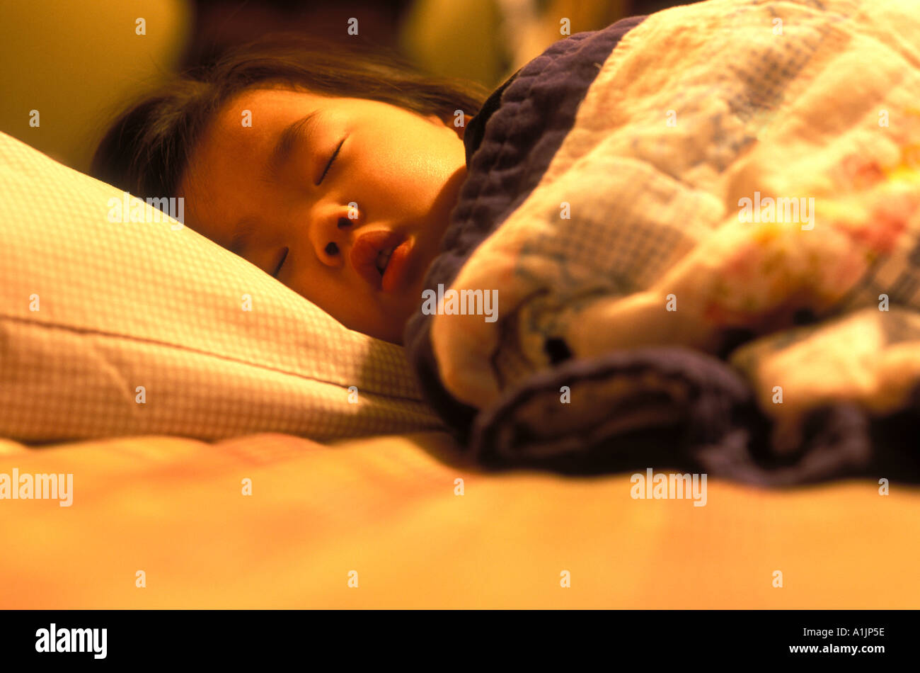 Young 3 or 4 year old Asian girl sleeping with a blanket Stock Photo