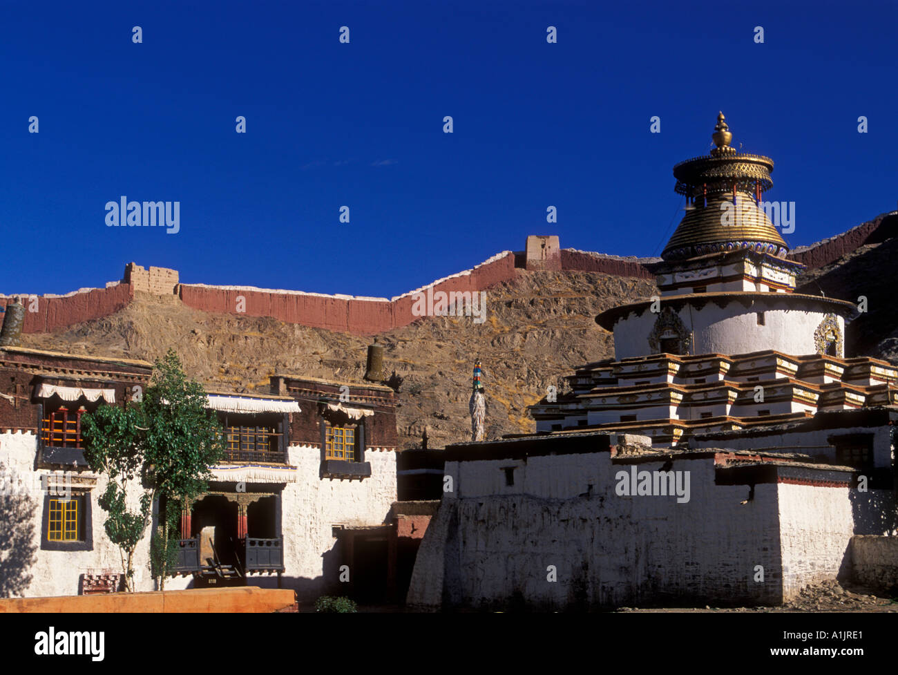 kumbum, chorten, Pelkor Chode Monastery, Buddhism, Buddhist monastery, Buddhist temple, temple, town of Gyantse, Tibet Autonomous Region, China, Asia Stock Photo