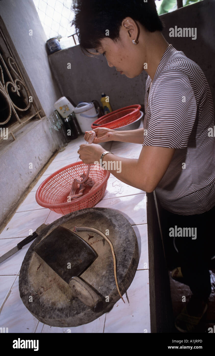 Snake restaurant, Hanoi, Vietnam Stock Photo