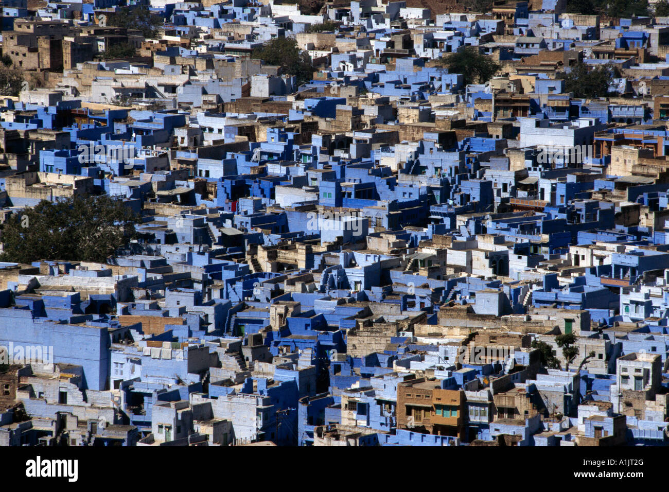 Jodhpur India Blue Houses Brahmin's Houses Stock Photo