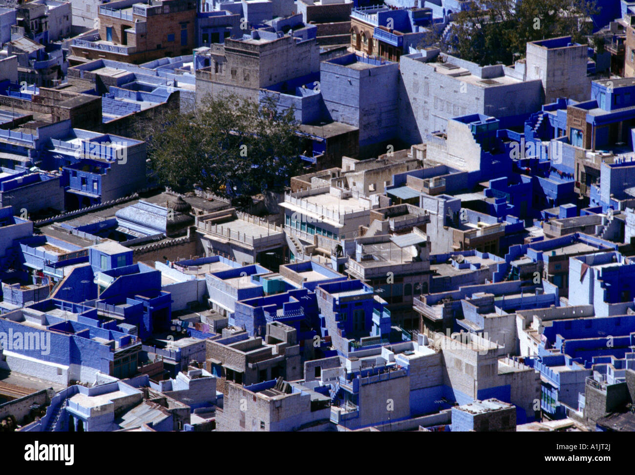 Jodhpur India Blue Houses Brahmin's Houses Stock Photo