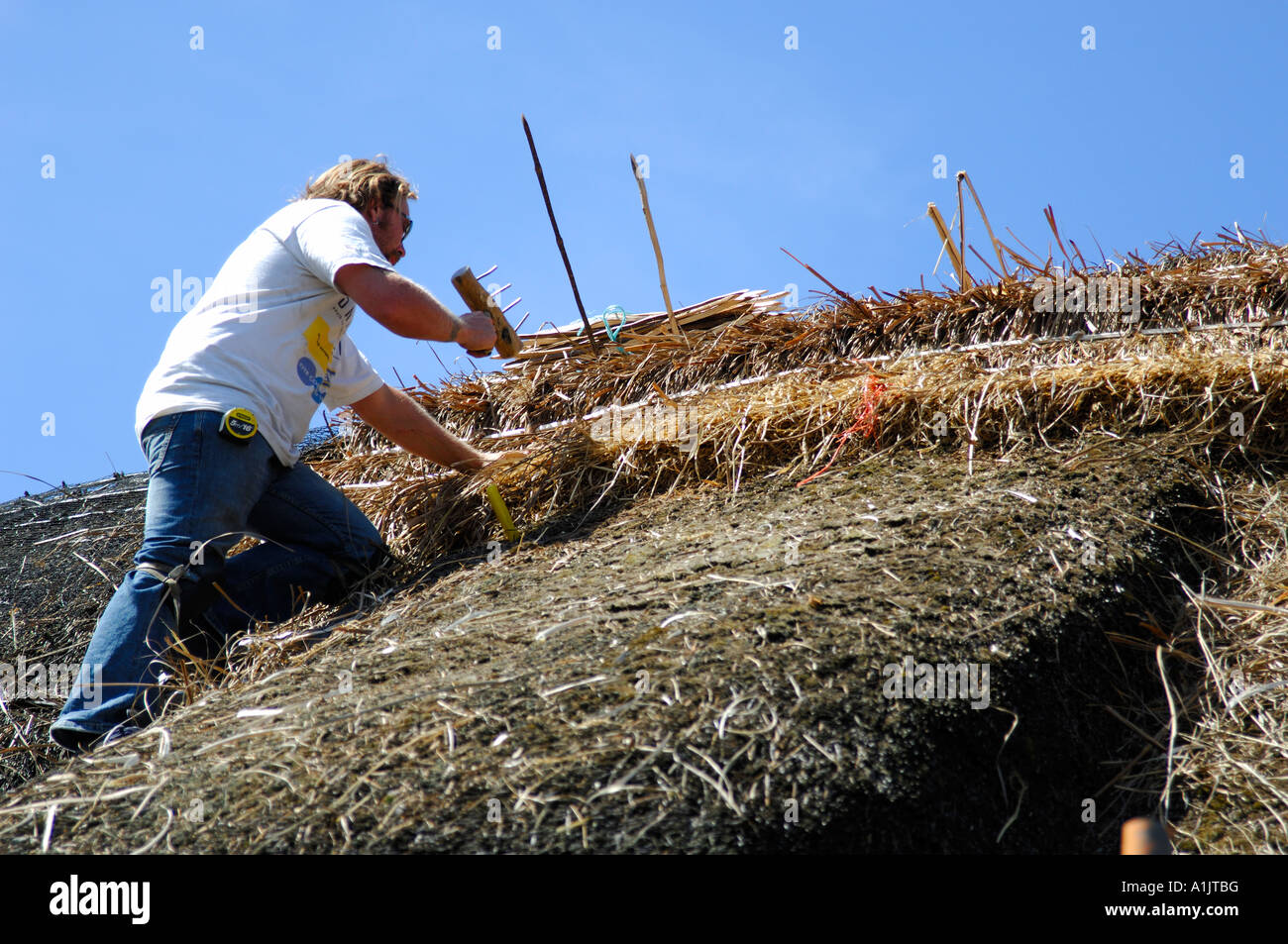 A man Thatching an old Cottage in the traditional method in the village of Bringhurst Leicestershire Stock Photo