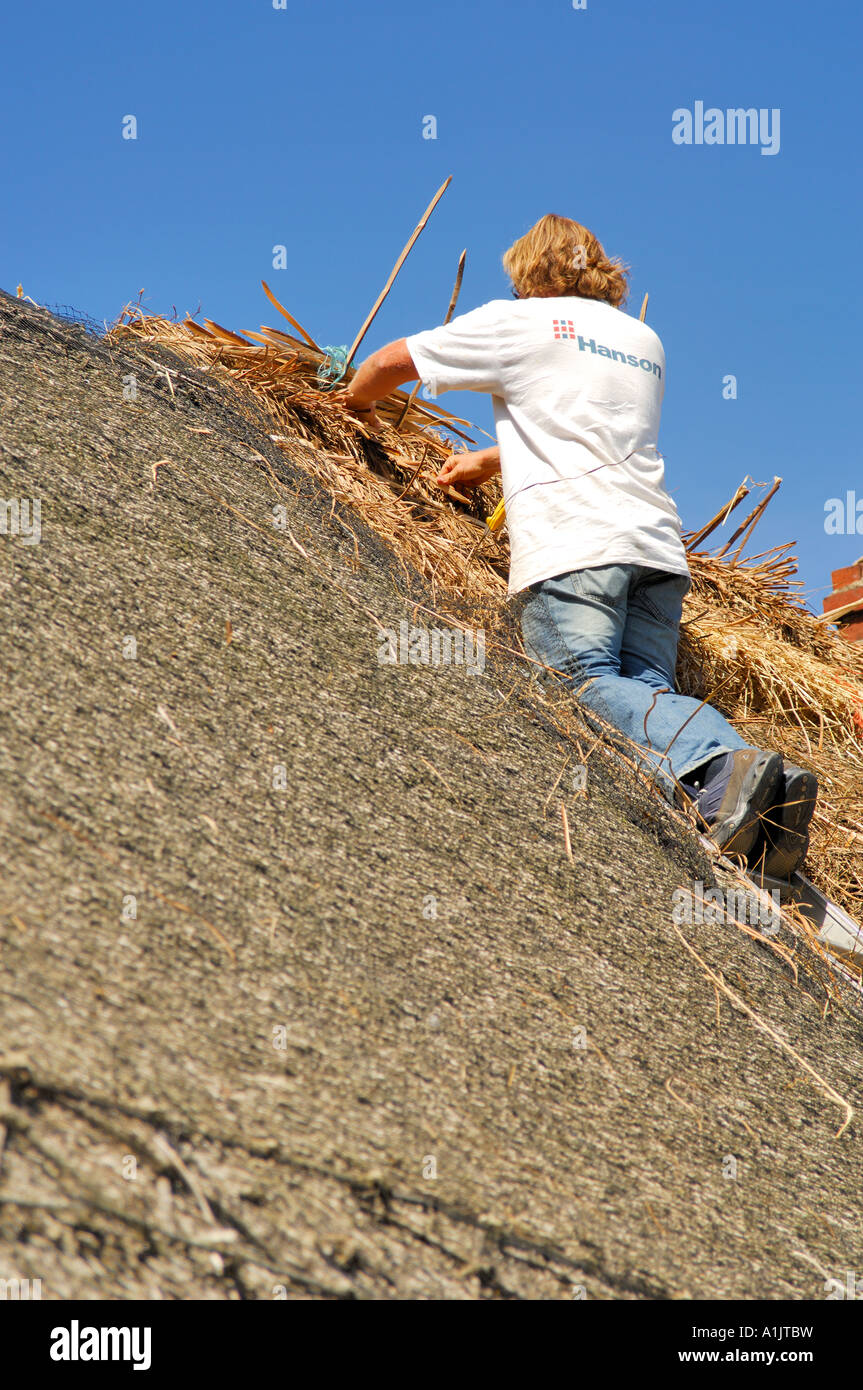 A man Thatching an old Cottage in the traditional method in the village of Bringhurst Leicestershire Stock Photo