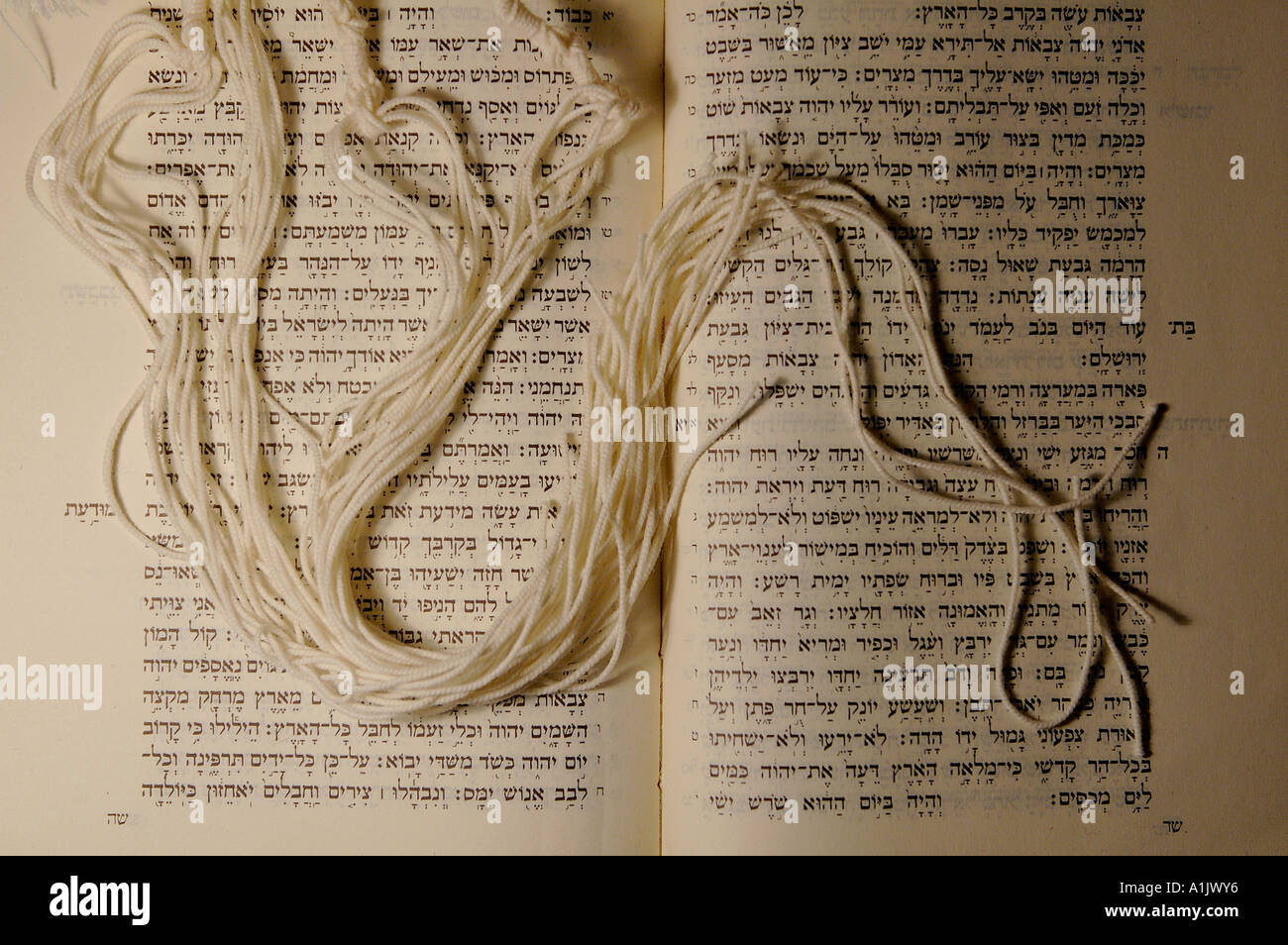 Tzitzis or tsitsiyot knotted ritual fringes or tassels of one corner of