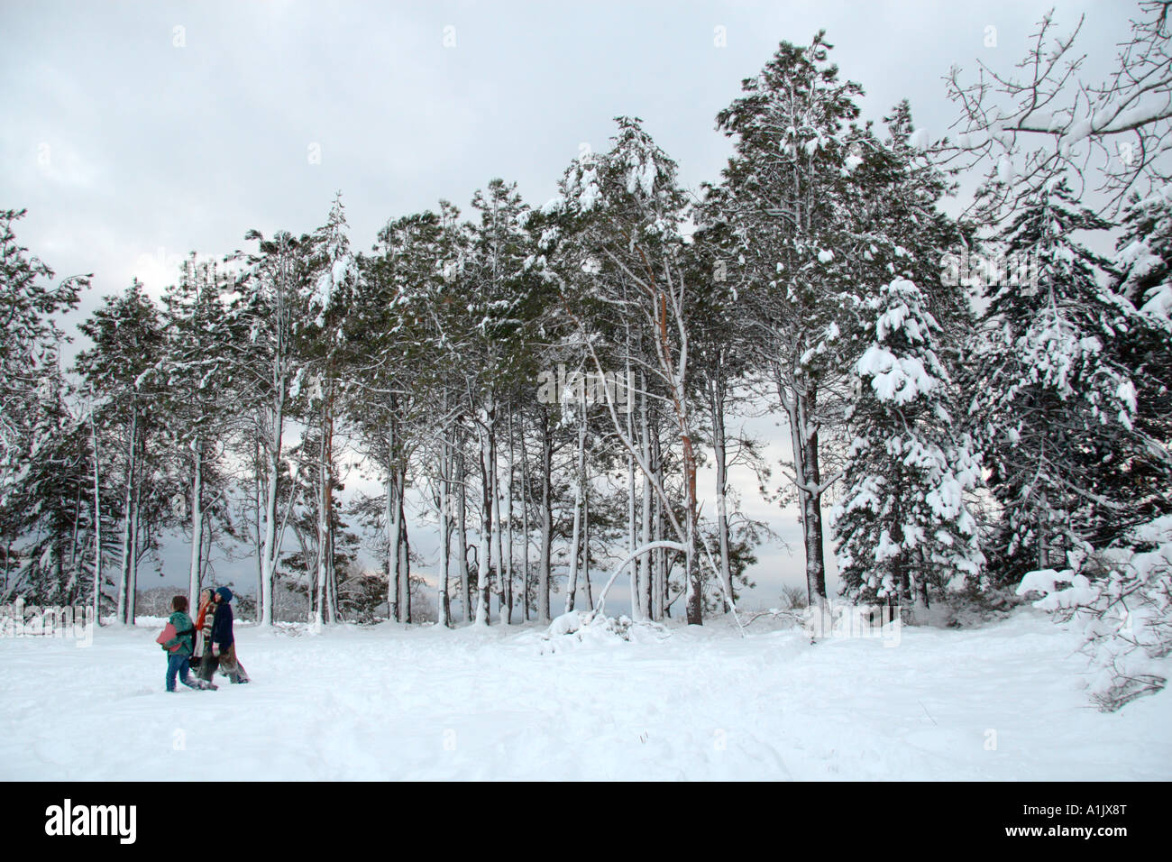 walk snow Stock Photo