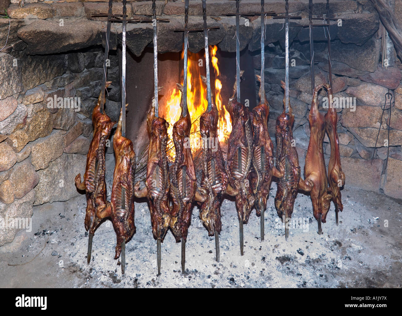 Traditional roast suckling pig on an open fire, Sardinian Evening, Hotel Rocce Sarde, San Pantaleo, Sardinia, Italy Stock Photo