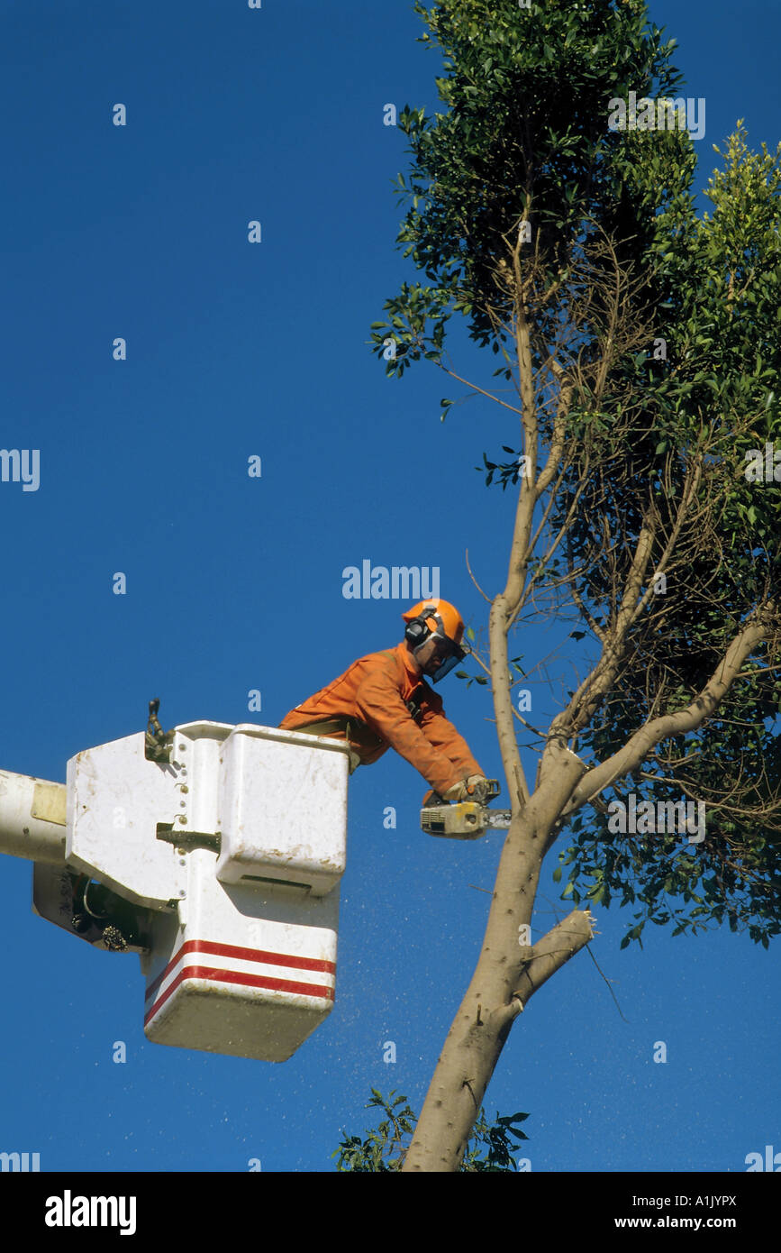 Cutting off branches hires stock photography and images Alamy