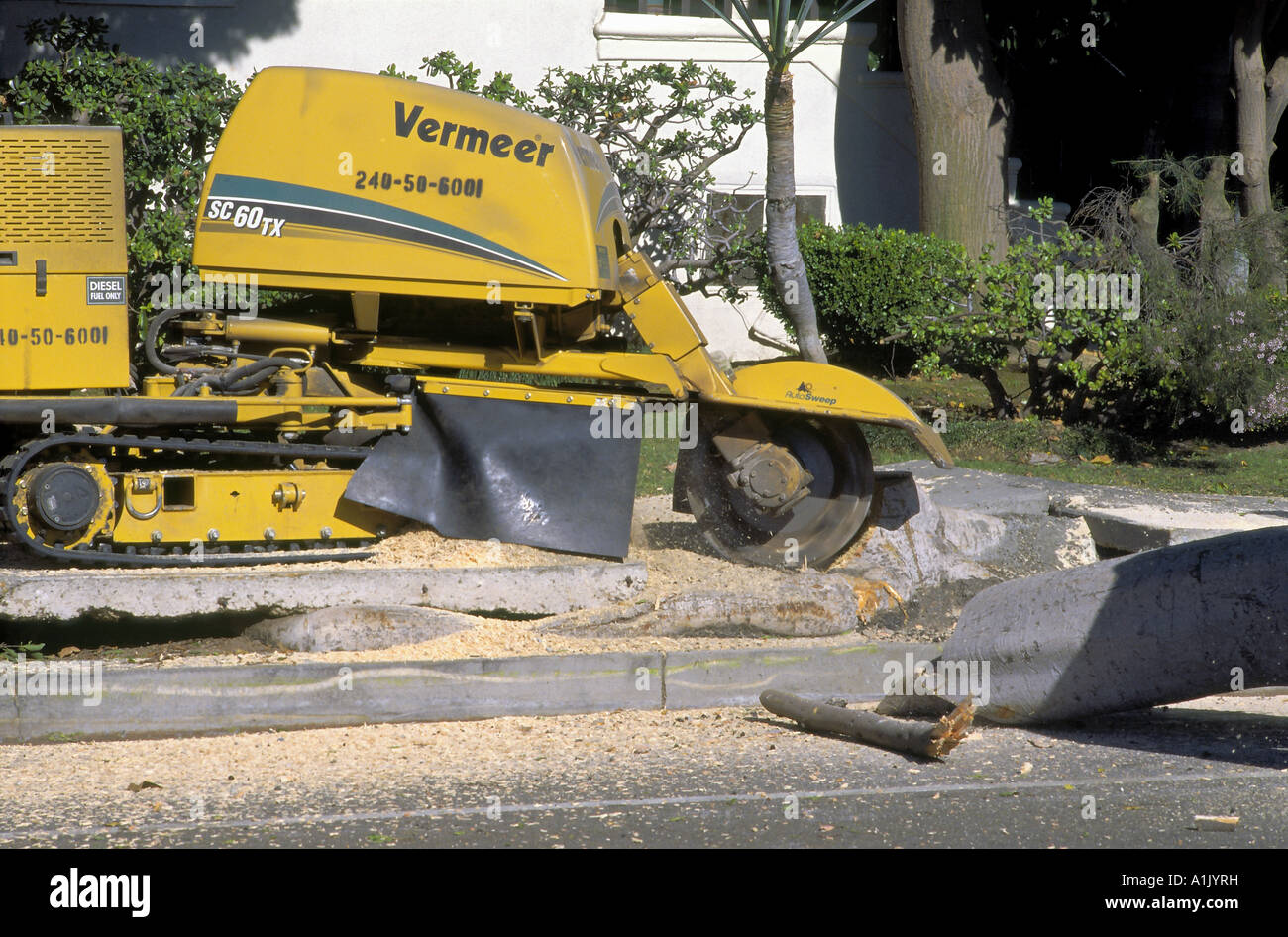 Stump Grinder Eats Away At What s Left After Tree Has Been Cut Down 