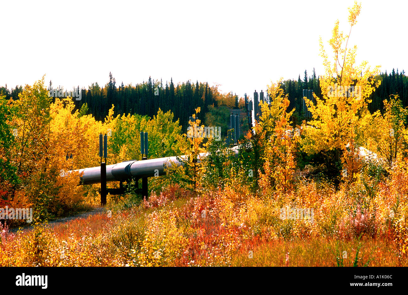 Alaska Oil Pipeline running 800 miles from Prudhoe Bay on the Arctic Ocean to Valdez on the Gulf of Alaska in the south USA Stock Photo