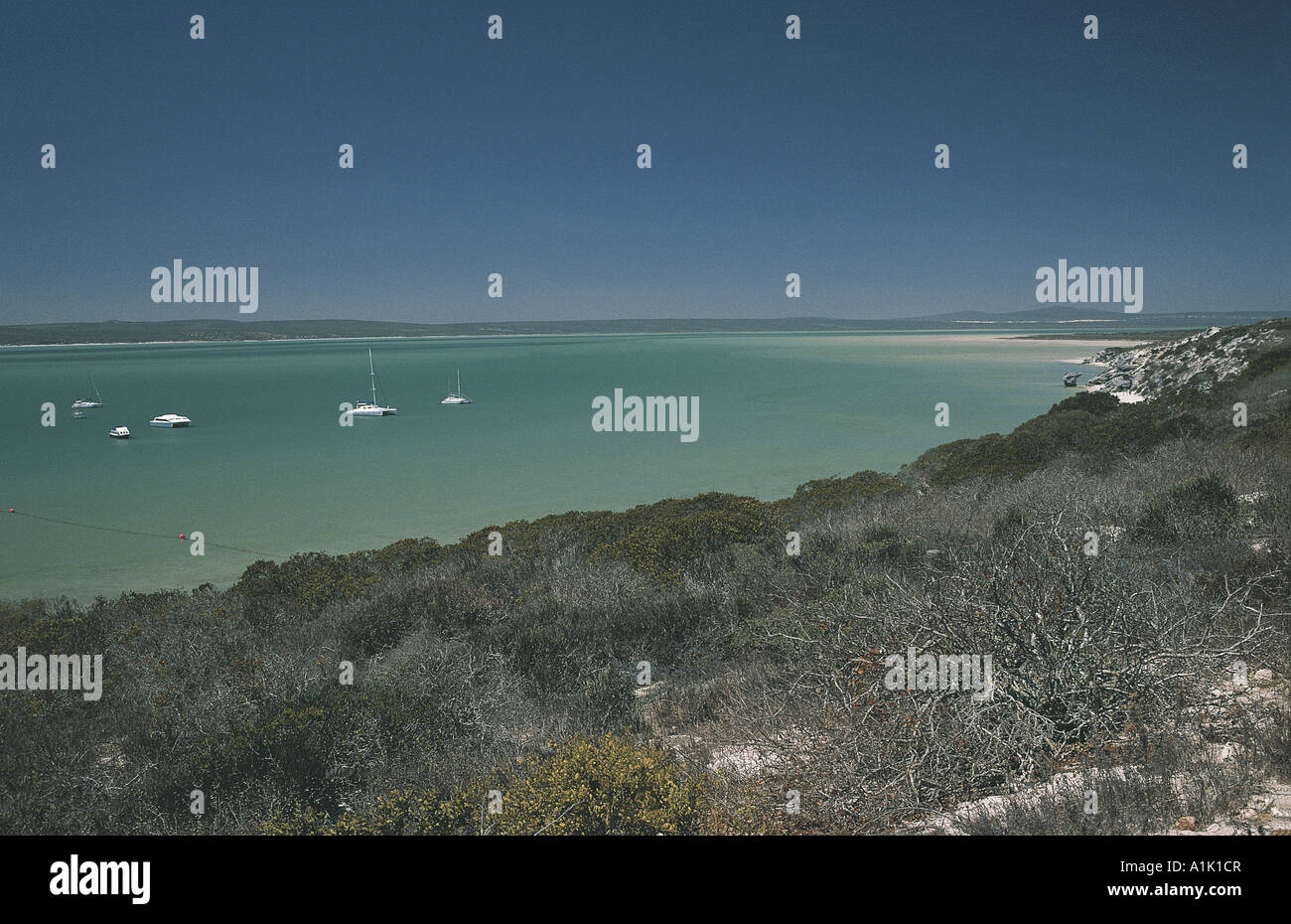 Kraalbaai with sailing boats at Langebaan Lagoon West Coast National