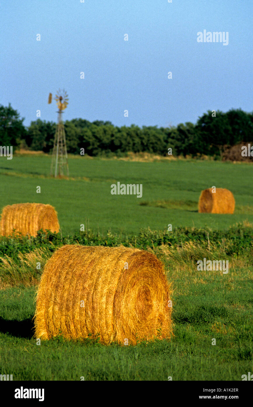 Rolled bales of golden hay dot a green field in Kansas under bright ...