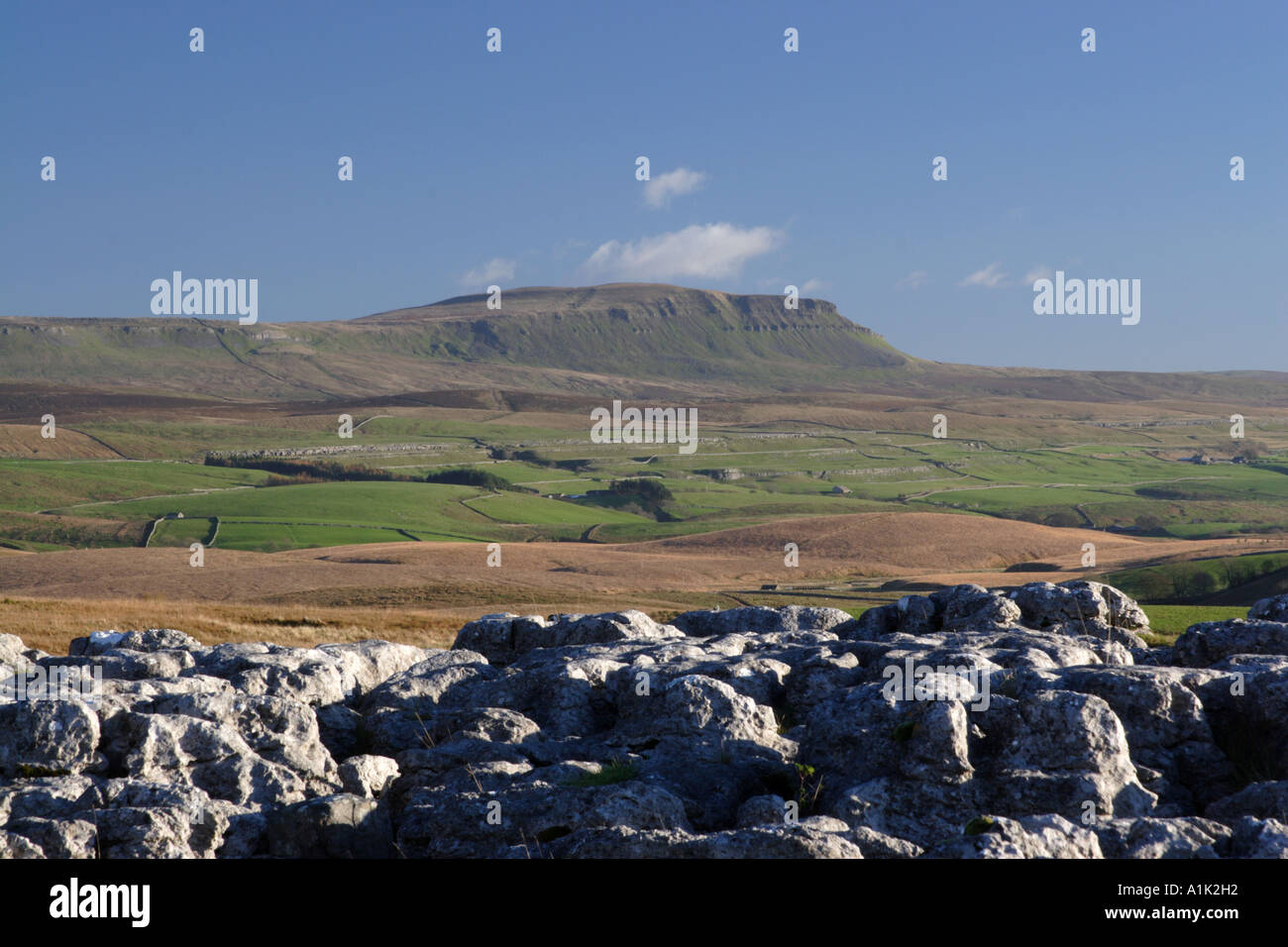 Penyghent from Ribblesdale. Yorkshire dales,National Park, UK, Europe Stock Photo