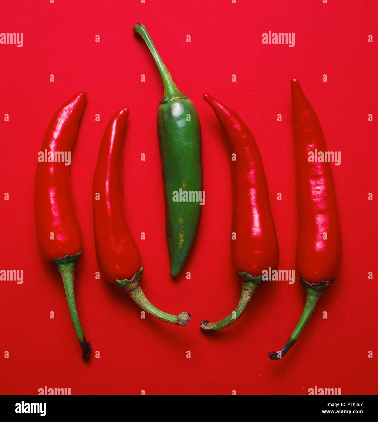 red and green chili peppers Stock Photo - Alamy