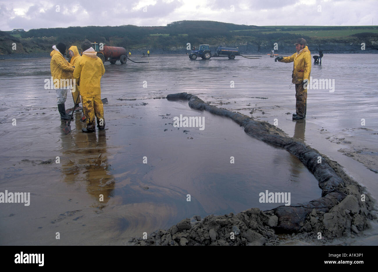 Oil clean up West Angle Bay Sea Empress oil spill Stock Photo Alamy