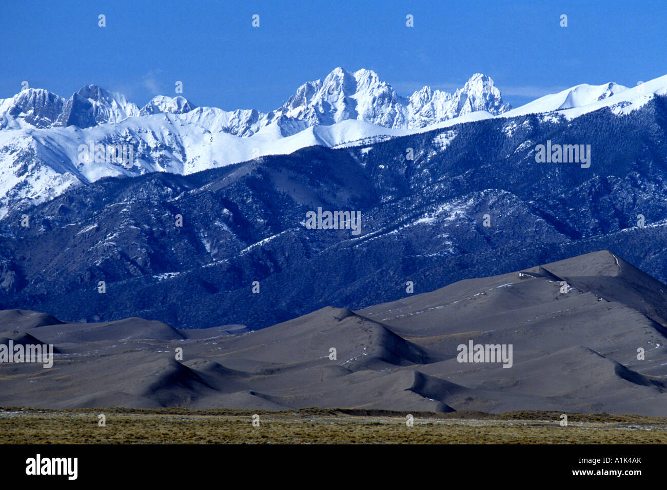 The Sangre de Cristo Mountains rise dramatically behind the Great Sand 