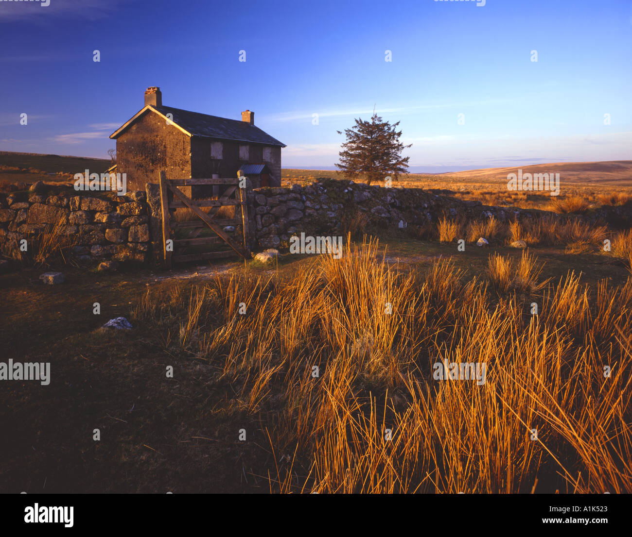 The derelict ruin of Nuns Cross Farm near Princetown on Dartmoor Devon UK Stock Photo