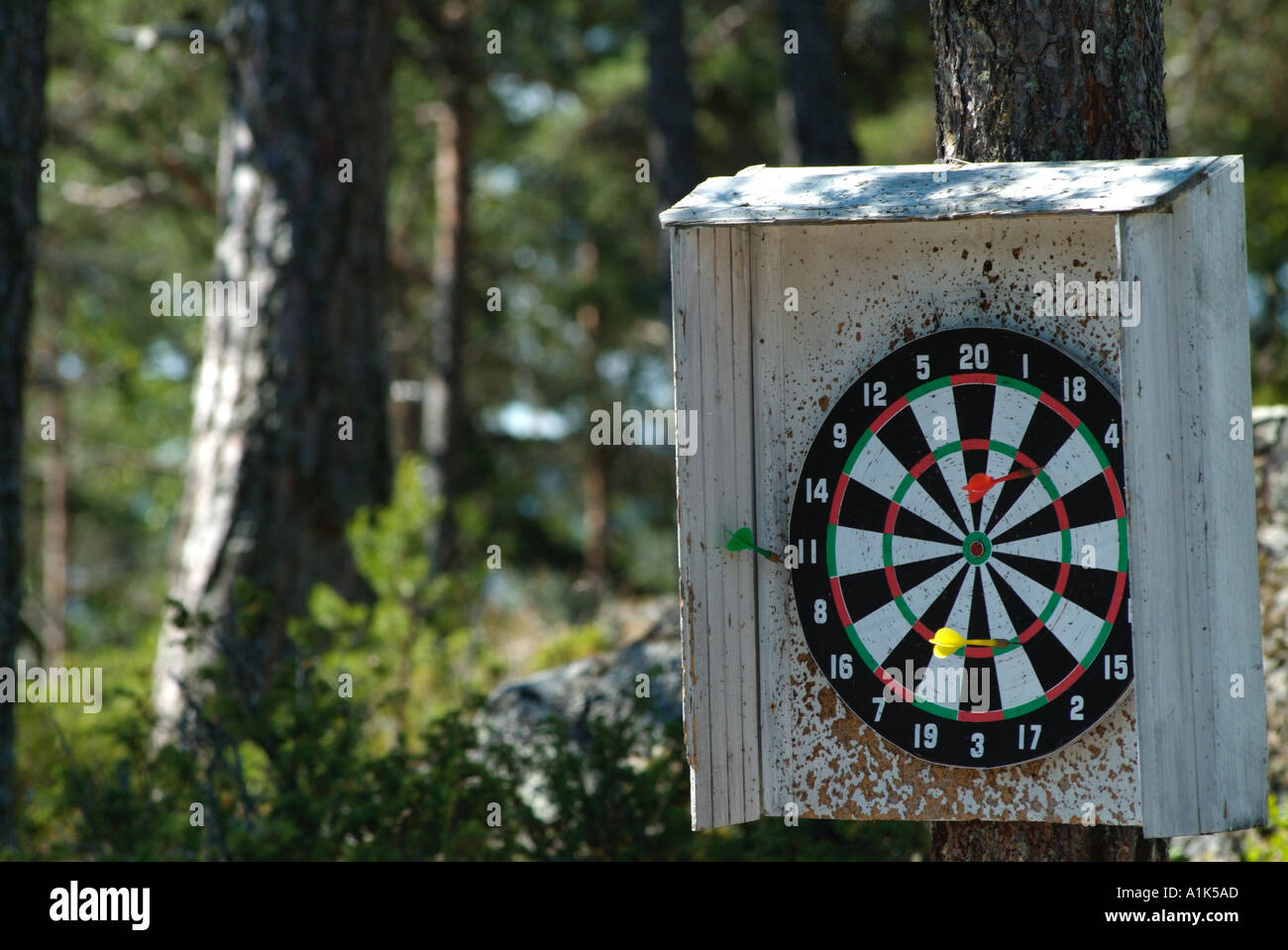 out door dart board pub game outside indoor sport arrows target forest