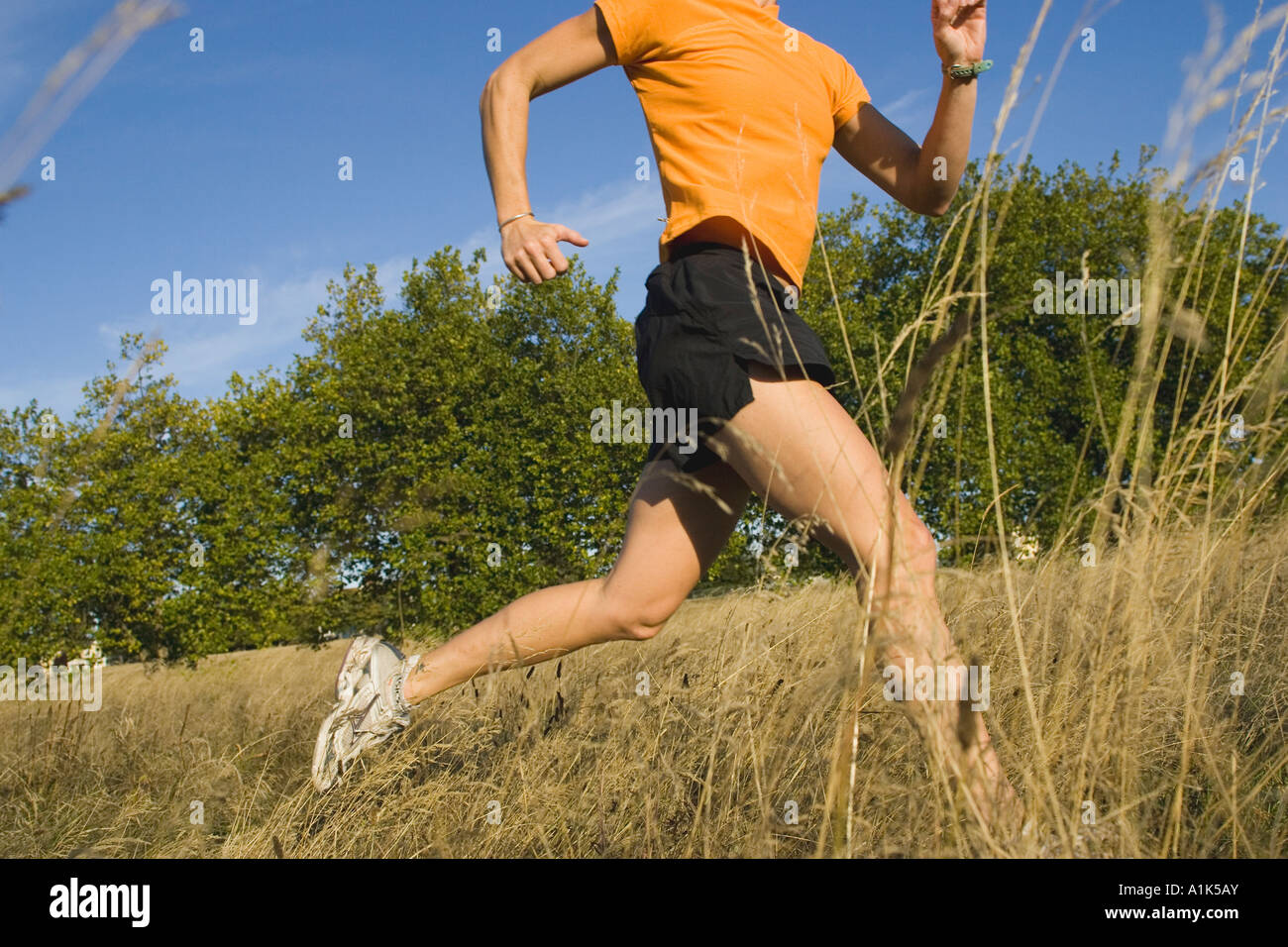 A caucasian woman runs in a field in late afternoon light Stock Photo ...