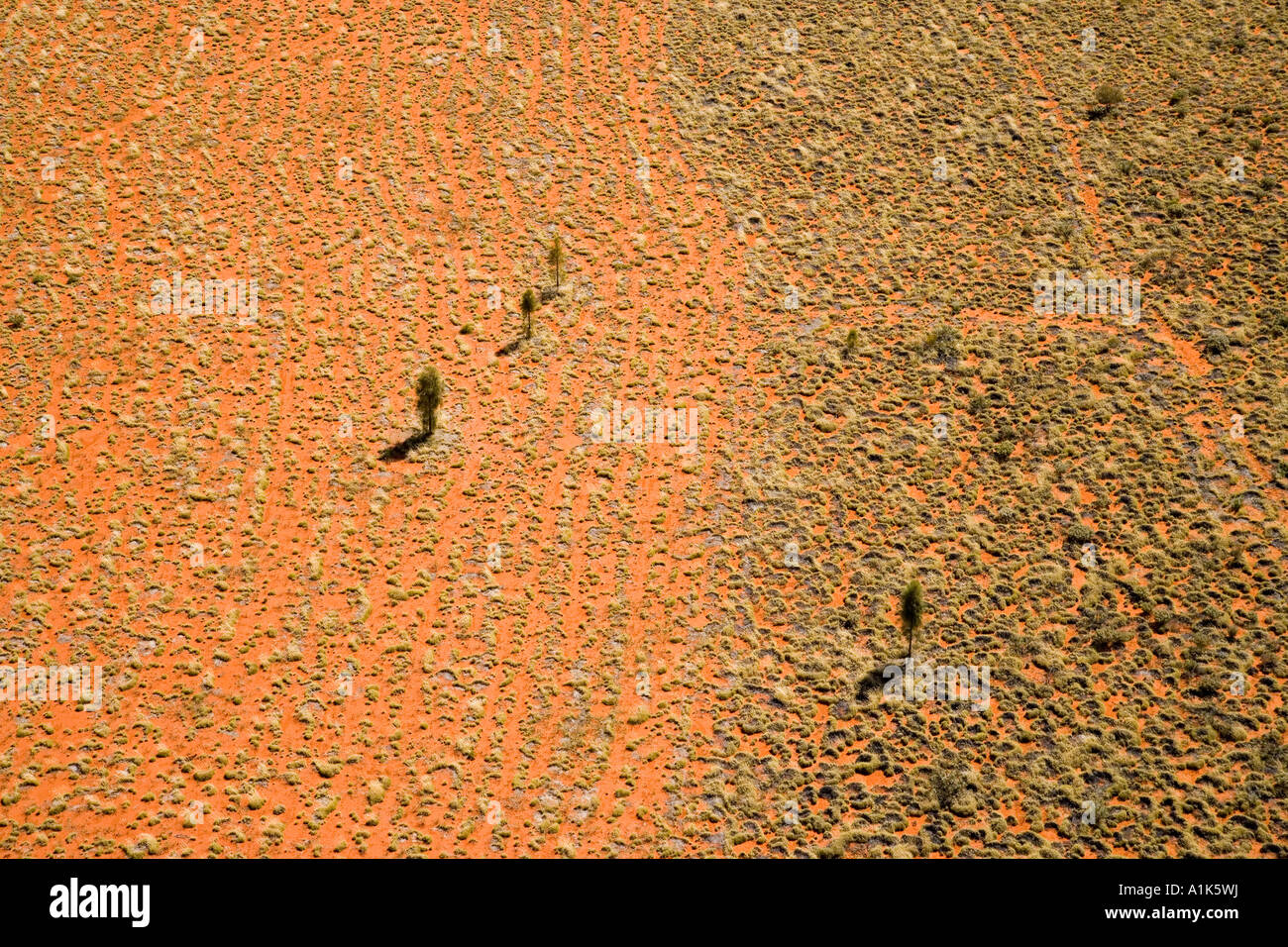 Grass and Red Sand Uluru Kata Tjuta National Park World Heritage Area Northern Territory Australia aerial Stock Photo