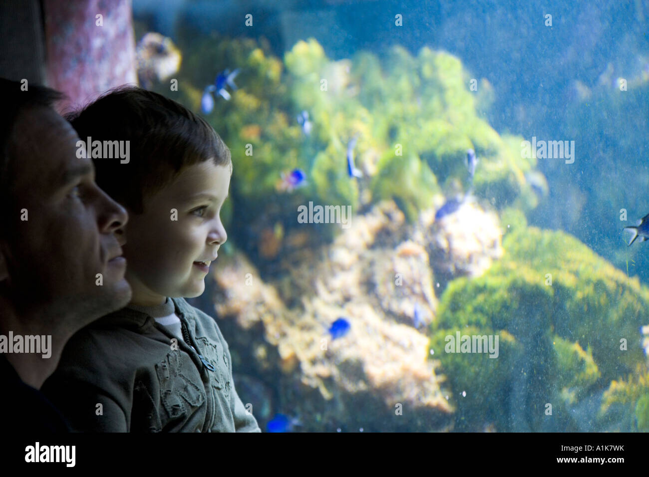 New York Aquarium Brooklyn New York United States of America Stock