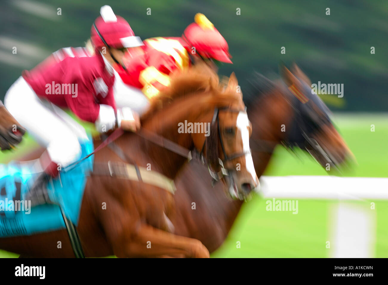 Mammal jockeys hi-res stock photography and images - Alamy